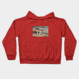 Namibia. Etosha National Park. Scavenging Jackal. Kids Hoodie